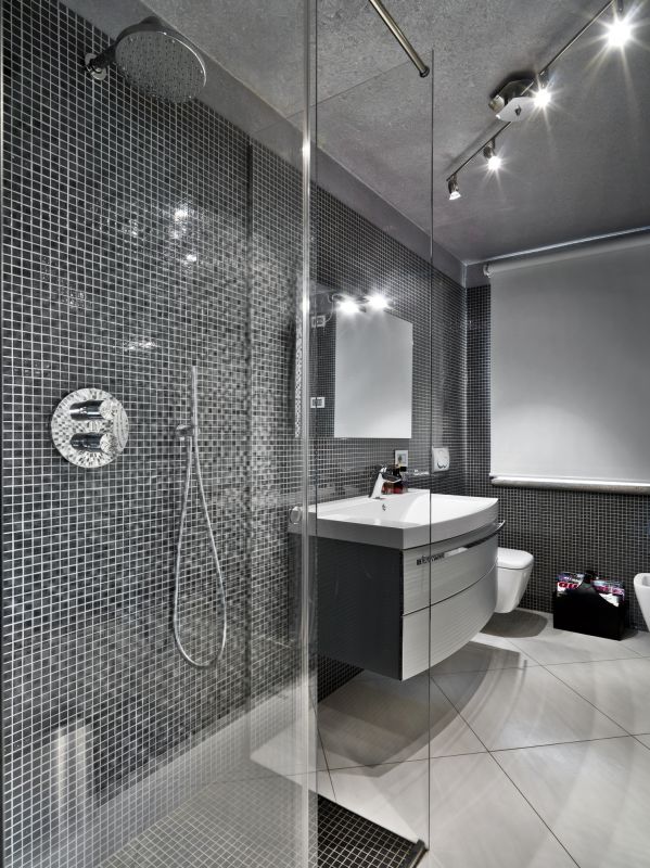 Elegant Shower Upgrade